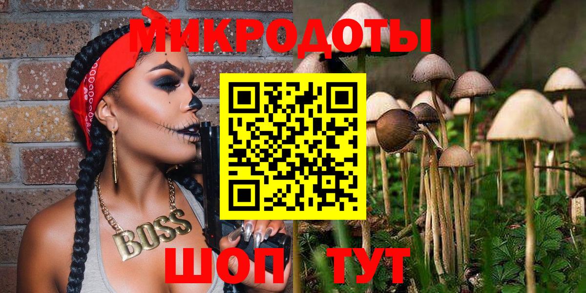 Лабинск  Галлюциногенные грибы Cubensis  Вход с VPN 